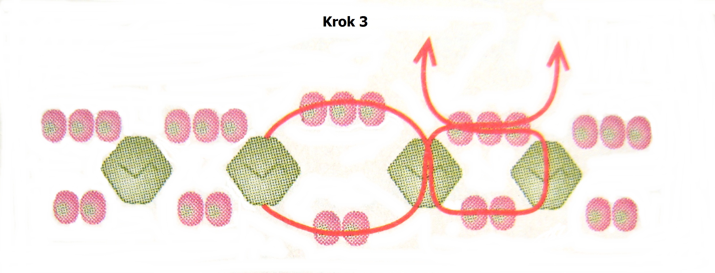 Krok 3 - obšitá Rivoli Swarovski - návod